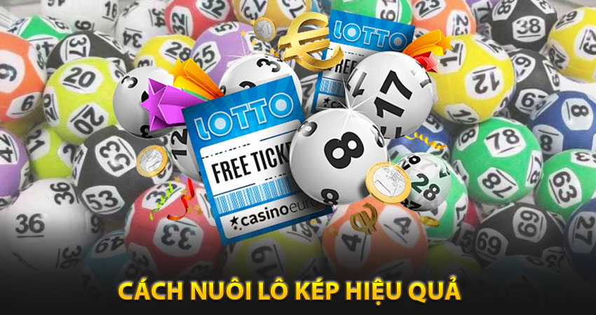 Cách nuôi lô kép hiệu quả – Chiến lược đậm chất chuyên gia